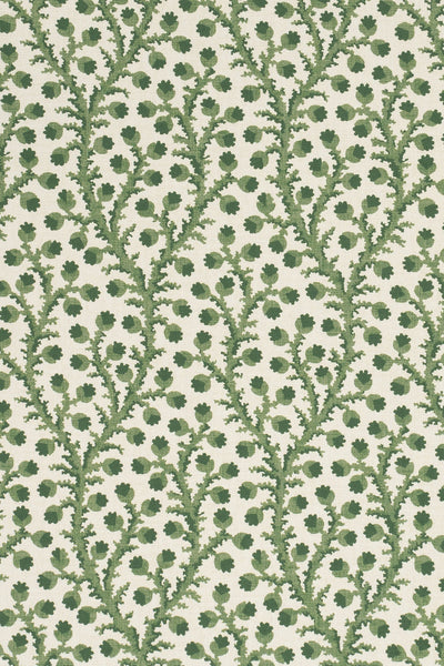 1-new mown green_WATERBERRY Wallpaper