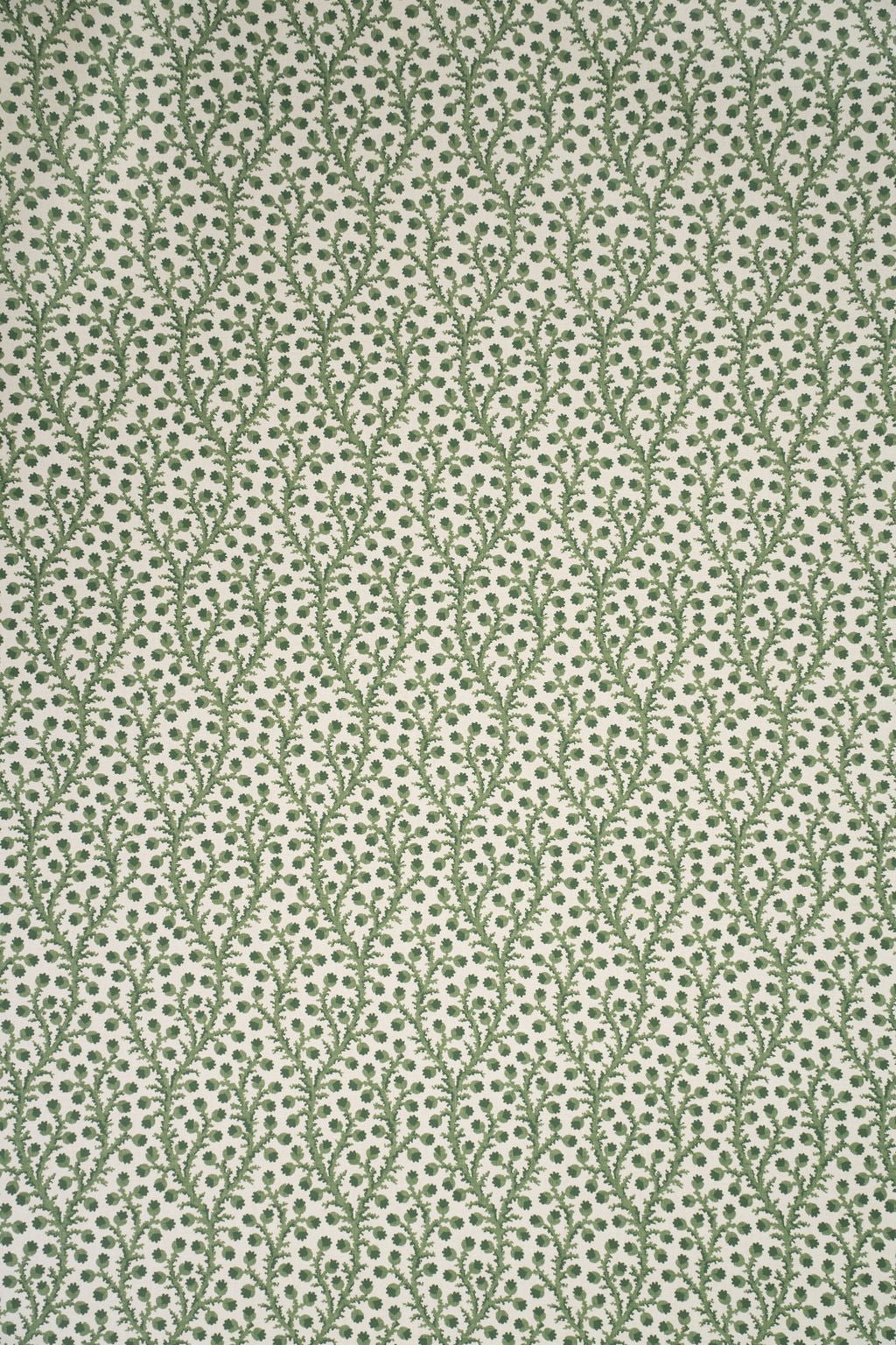 1-new mown green_WATERBERRY Wallpaper