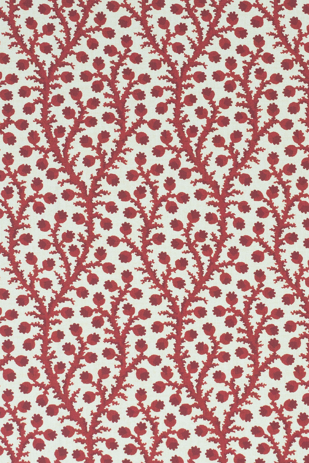 3-pomegranate red_WATERBERRY Wallpaper