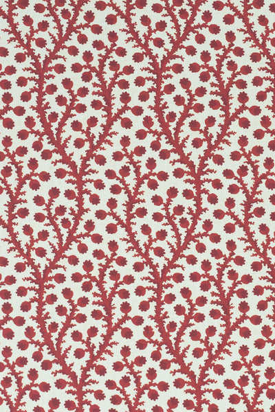 3-pomegranate red_WATERBERRY Wallpaper
