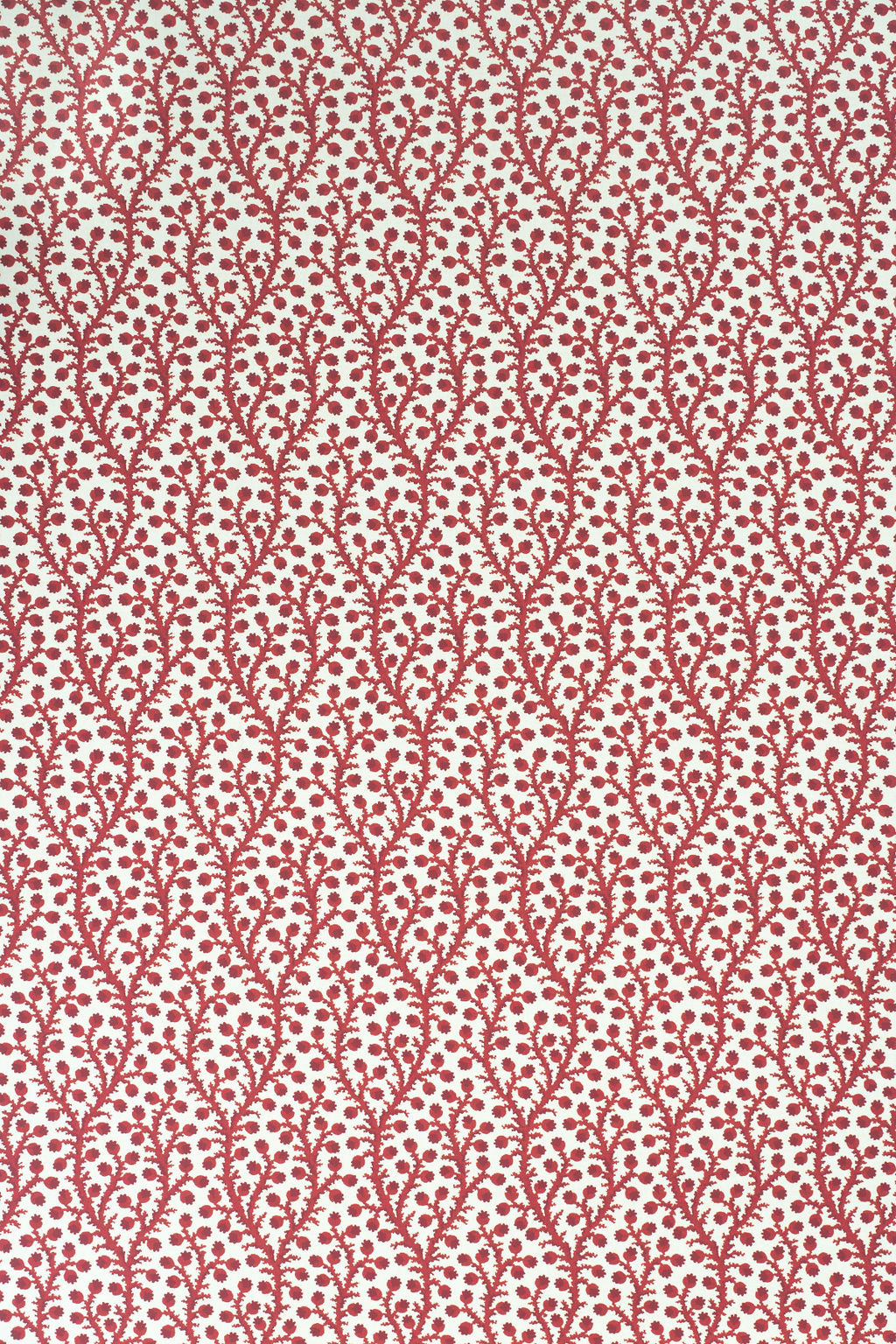 3-pomegranate red_WATERBERRY Wallpaper
