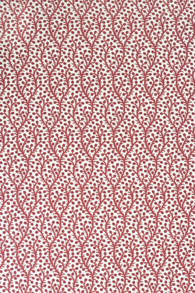 3-pomegranate red_WATERBERRY Wallpaper