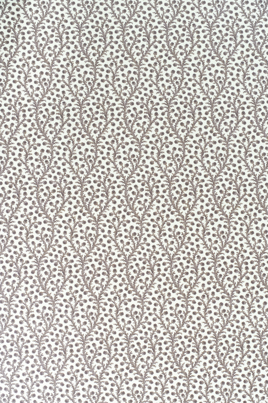 6-thatched roof taupe_WATERBERRY Wallpaper