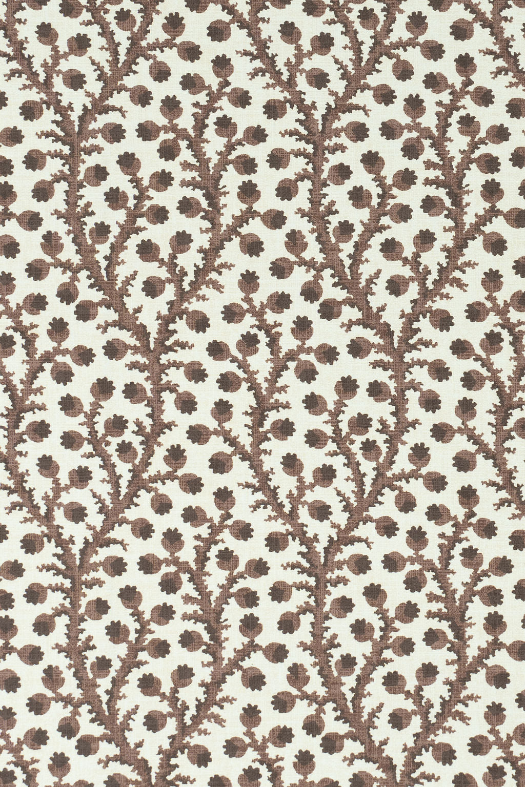 8-unearthly brown_WATERBERRY Wallpaper