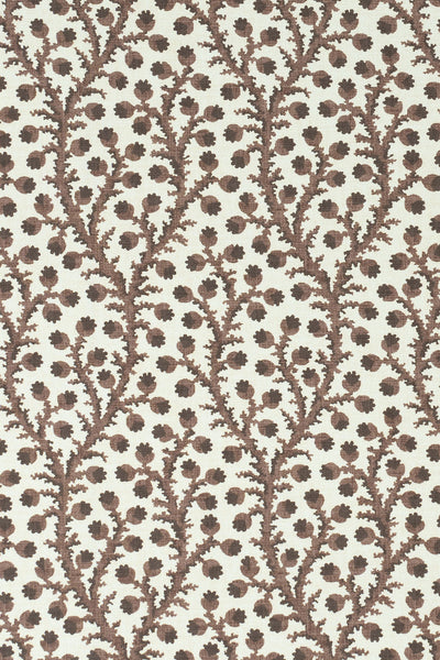 8-unearthly brown_WATERBERRY Wallpaper