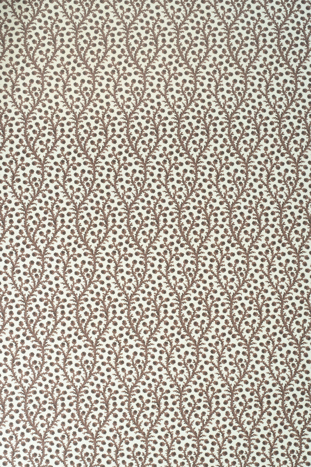 8-unearthly brown_WATERBERRY Wallpaper