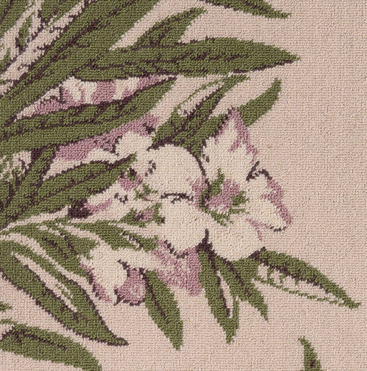 Rose_Oleander