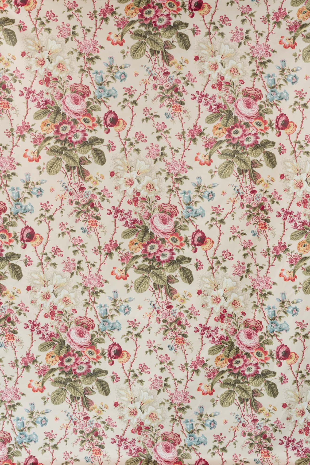 olive multi_ARDINGTON