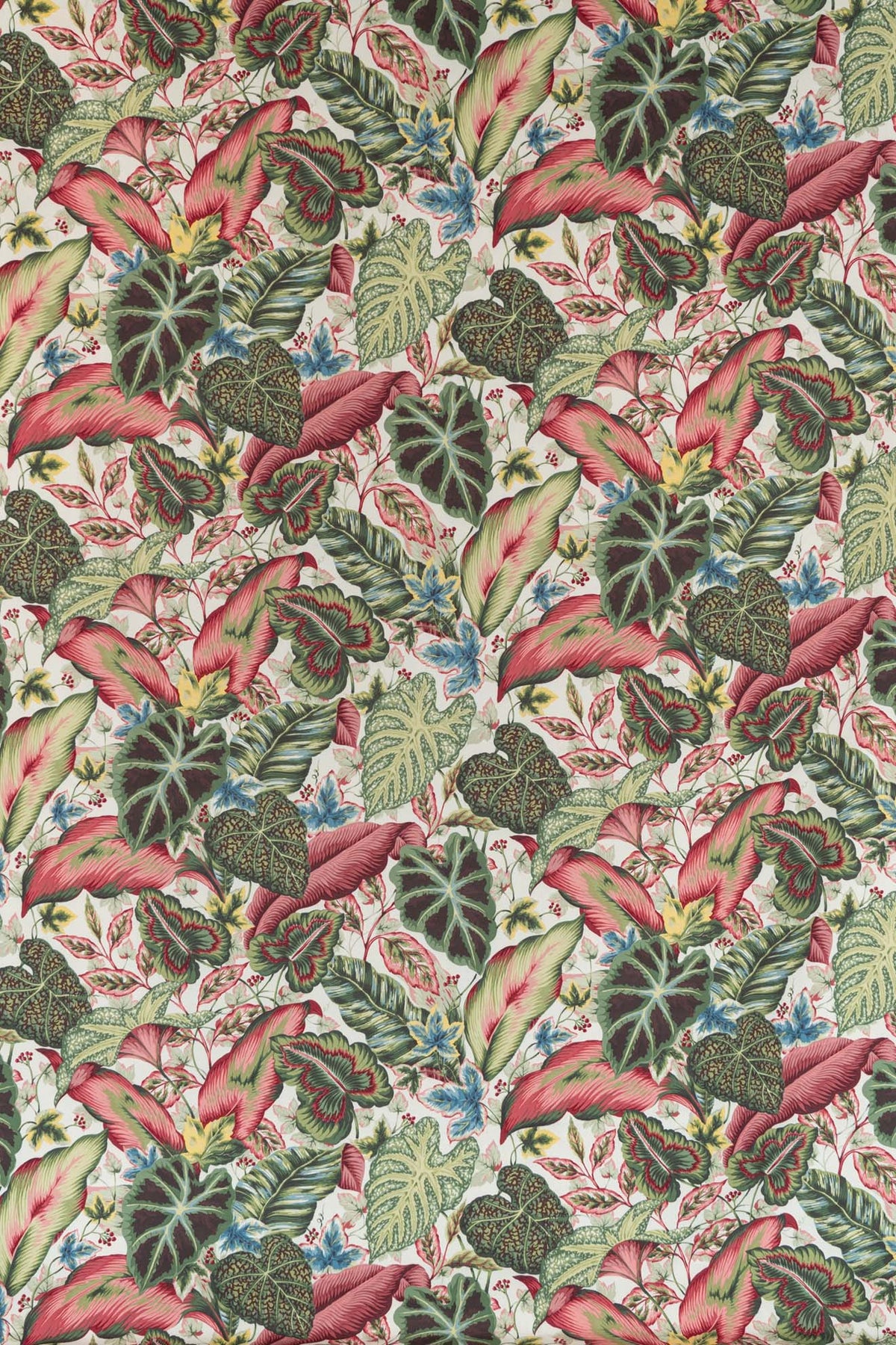 archive_BOTANICAL LEAF