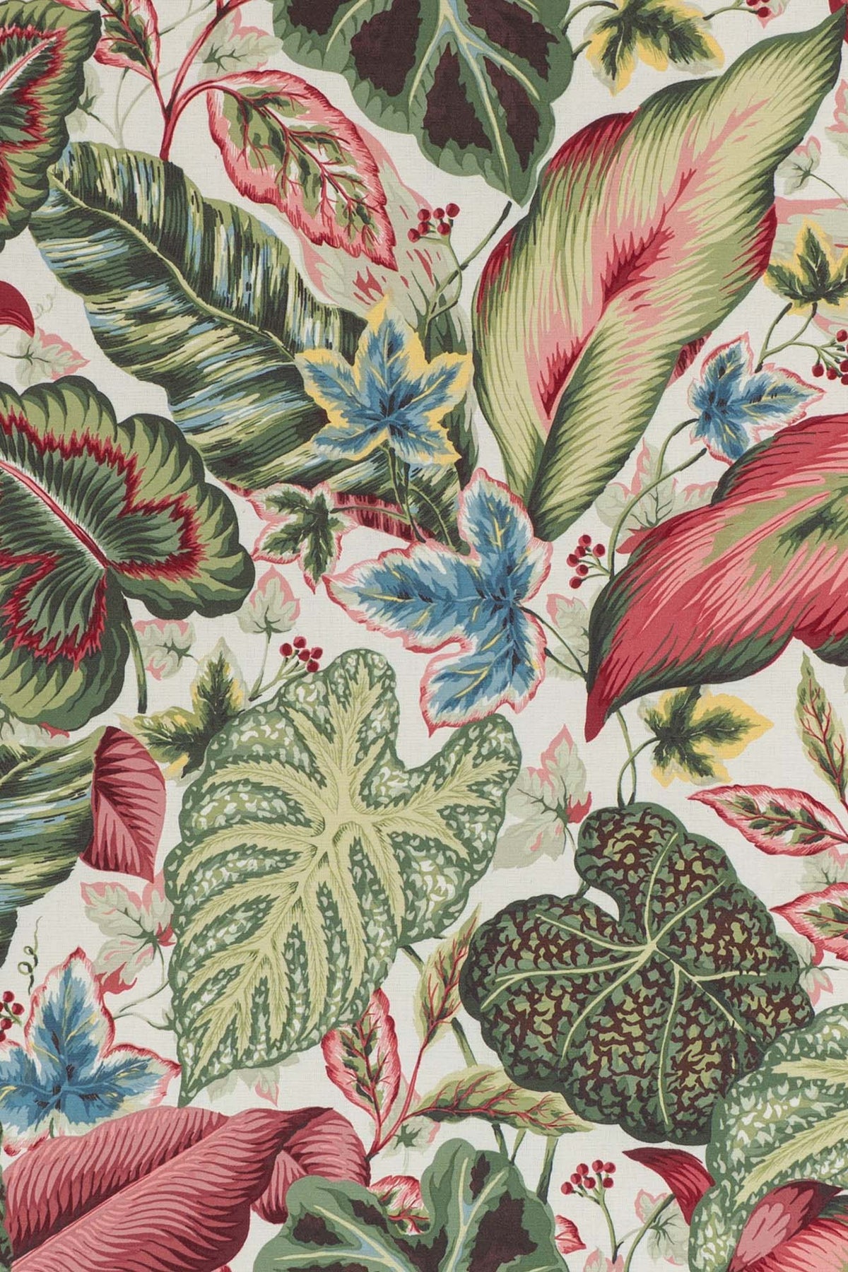 archive_BOTANICAL LEAF