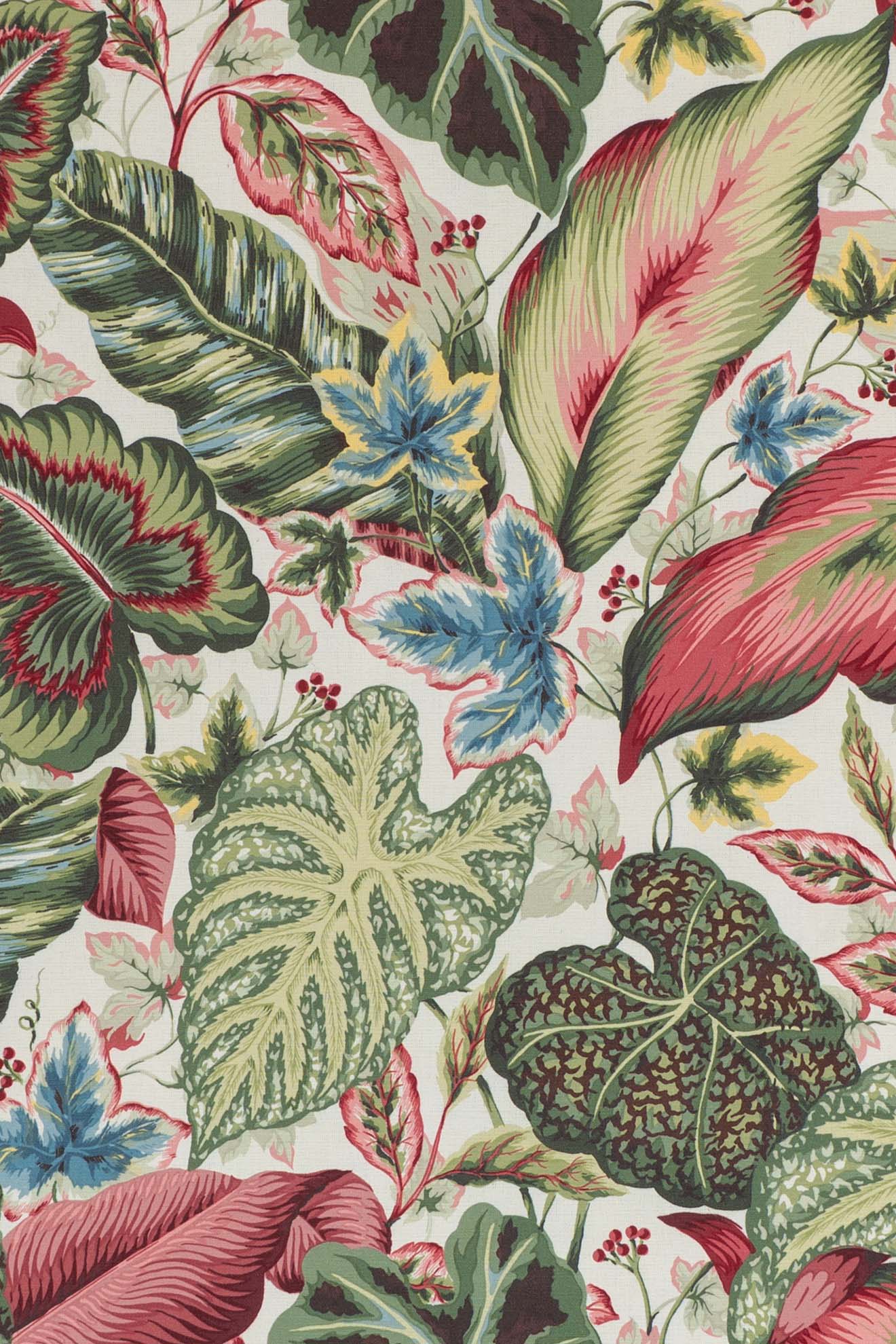 archive_BOTANICAL LEAF