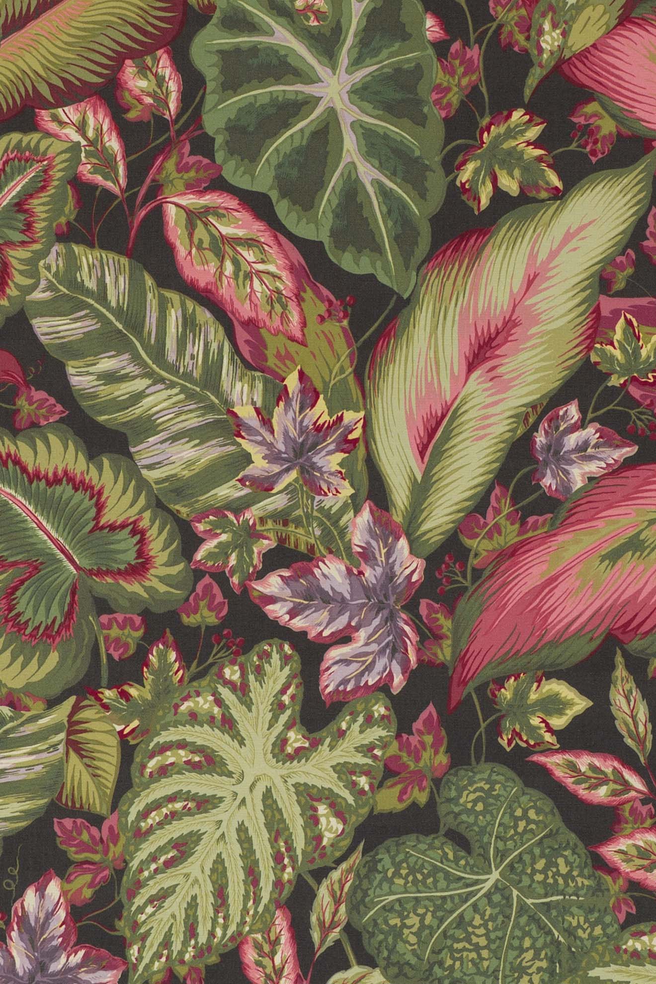 calathea_BOTANICAL LEAF