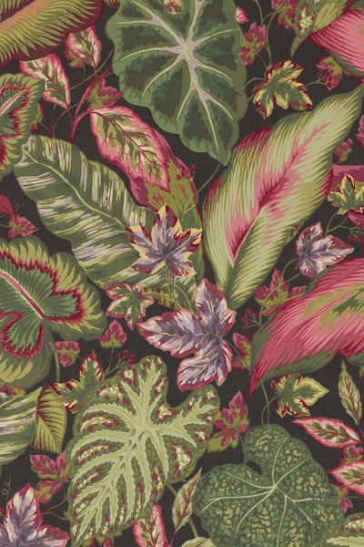 calathea_BOTANICAL LEAF