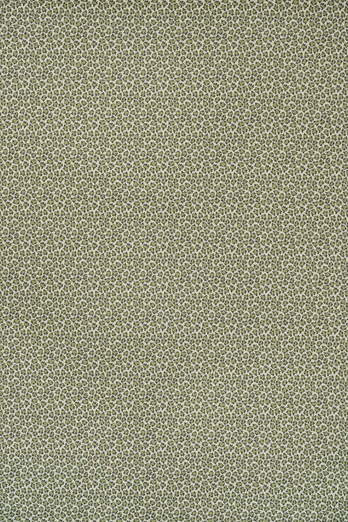 moss_ETON