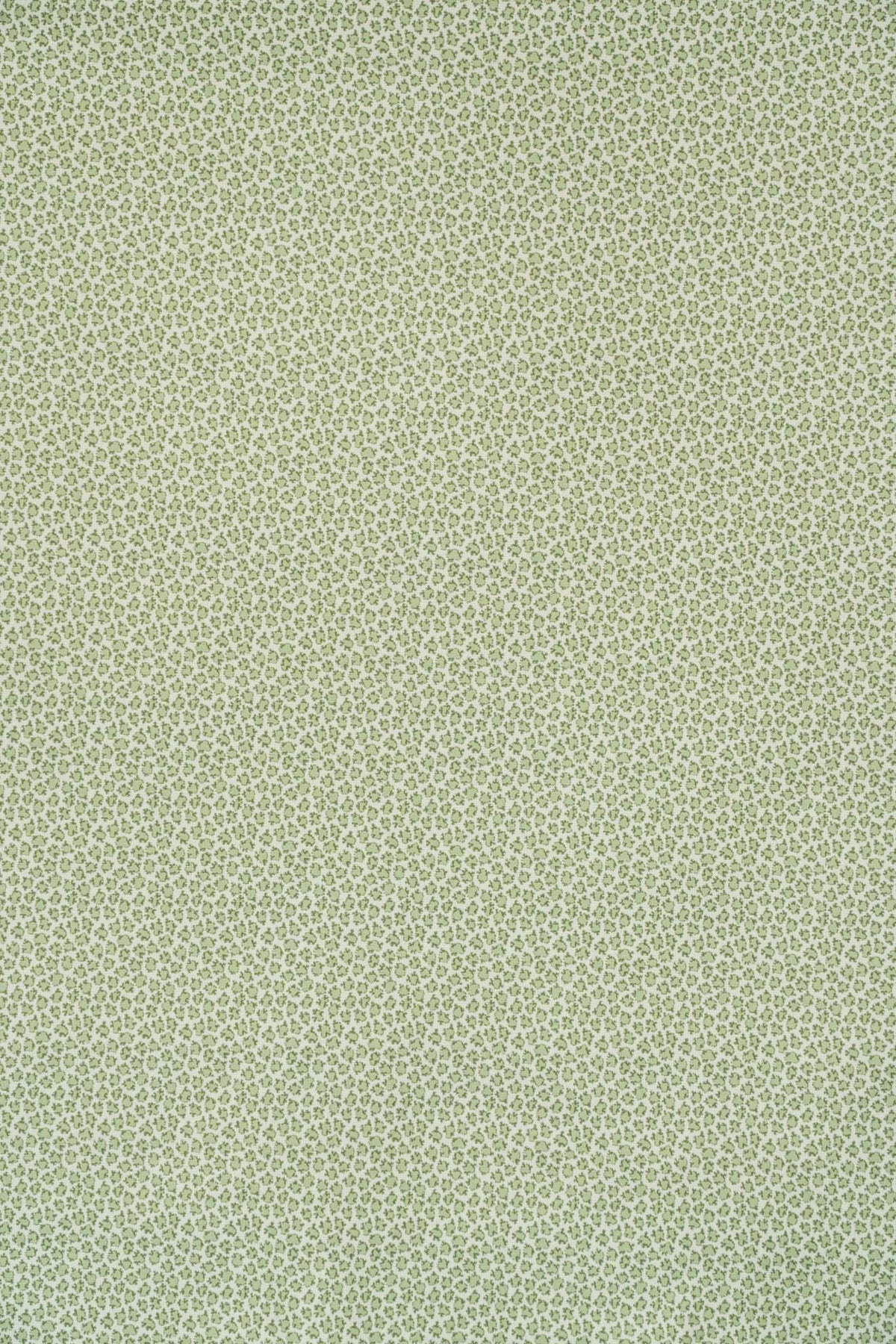 pastel_ETON