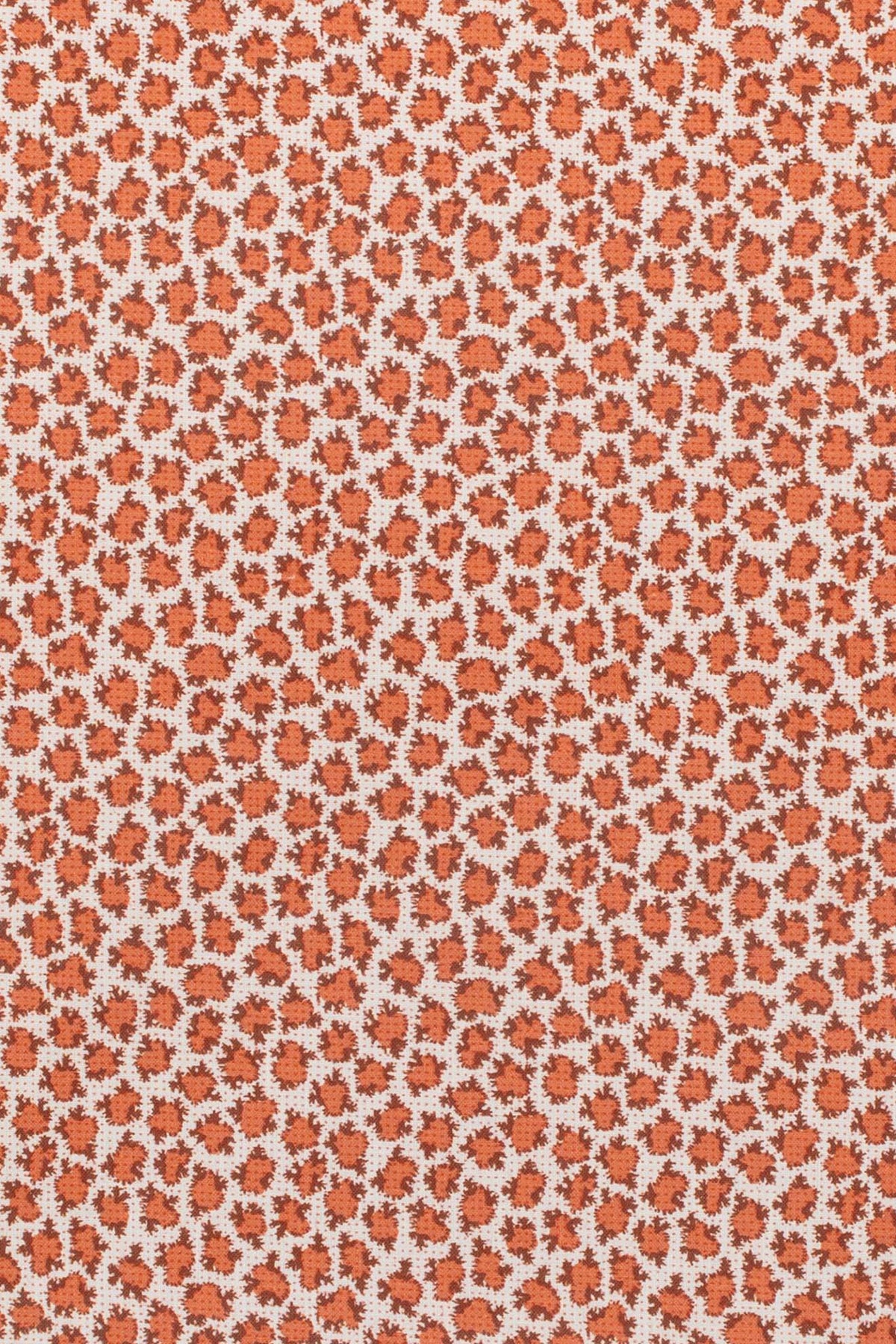 tango_ETON