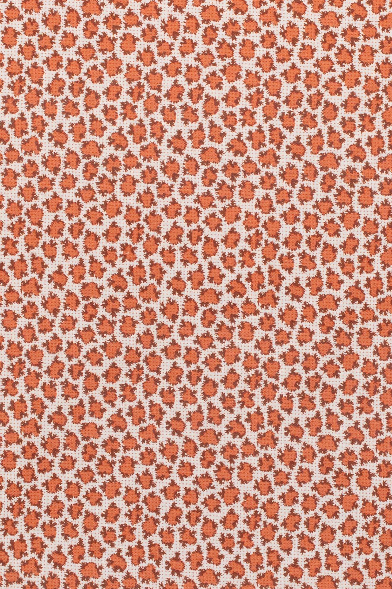 tango_ETON