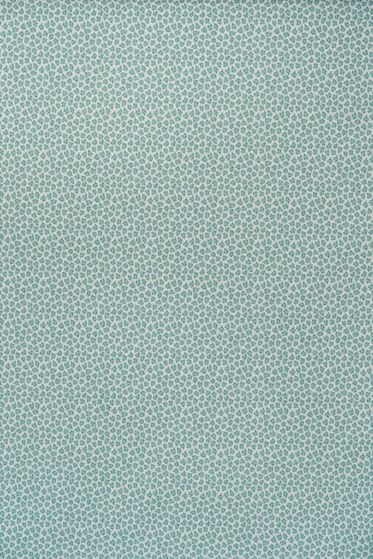 teal_ETON