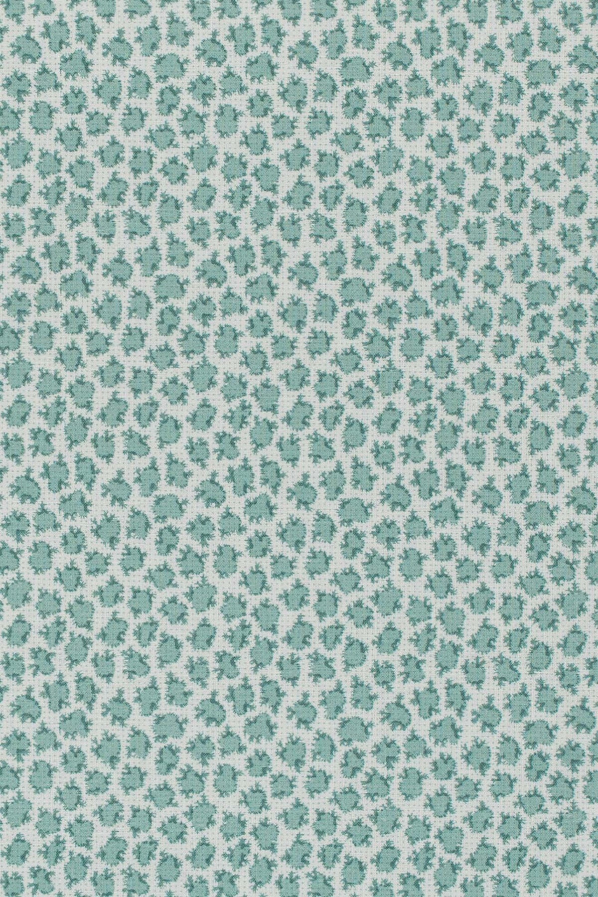 teal_ETON