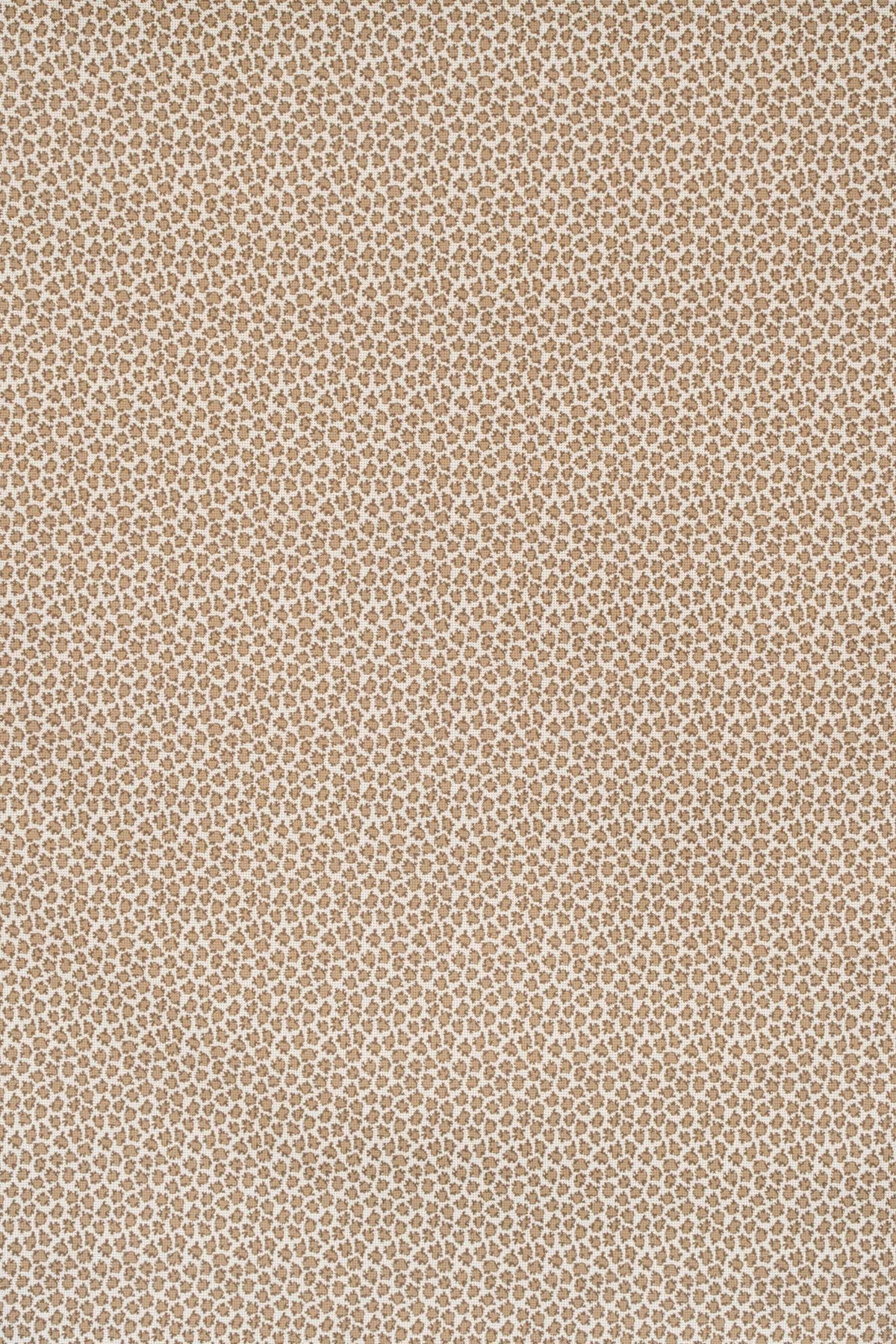 mocha_ETON