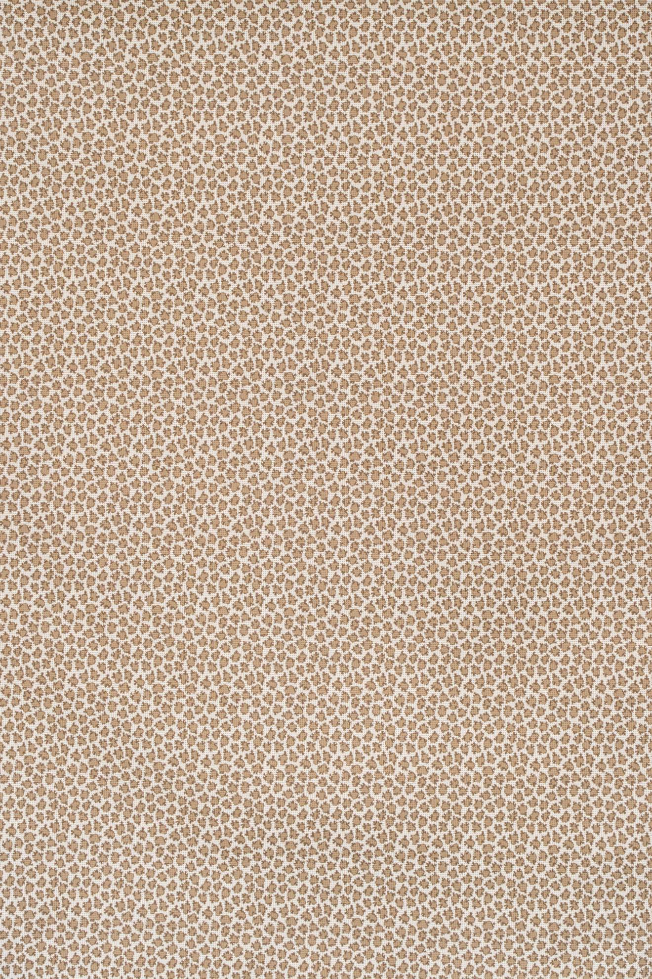 mocha_ETON