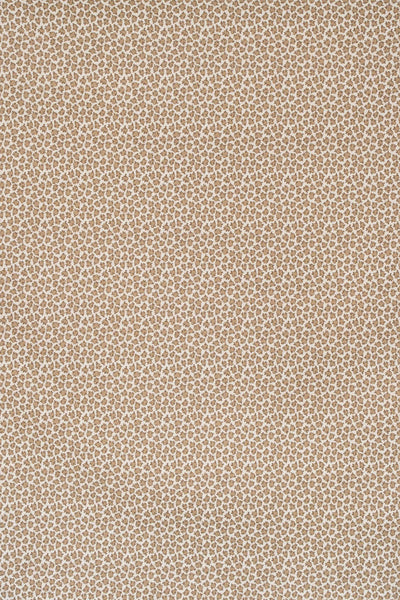 mocha_ETON