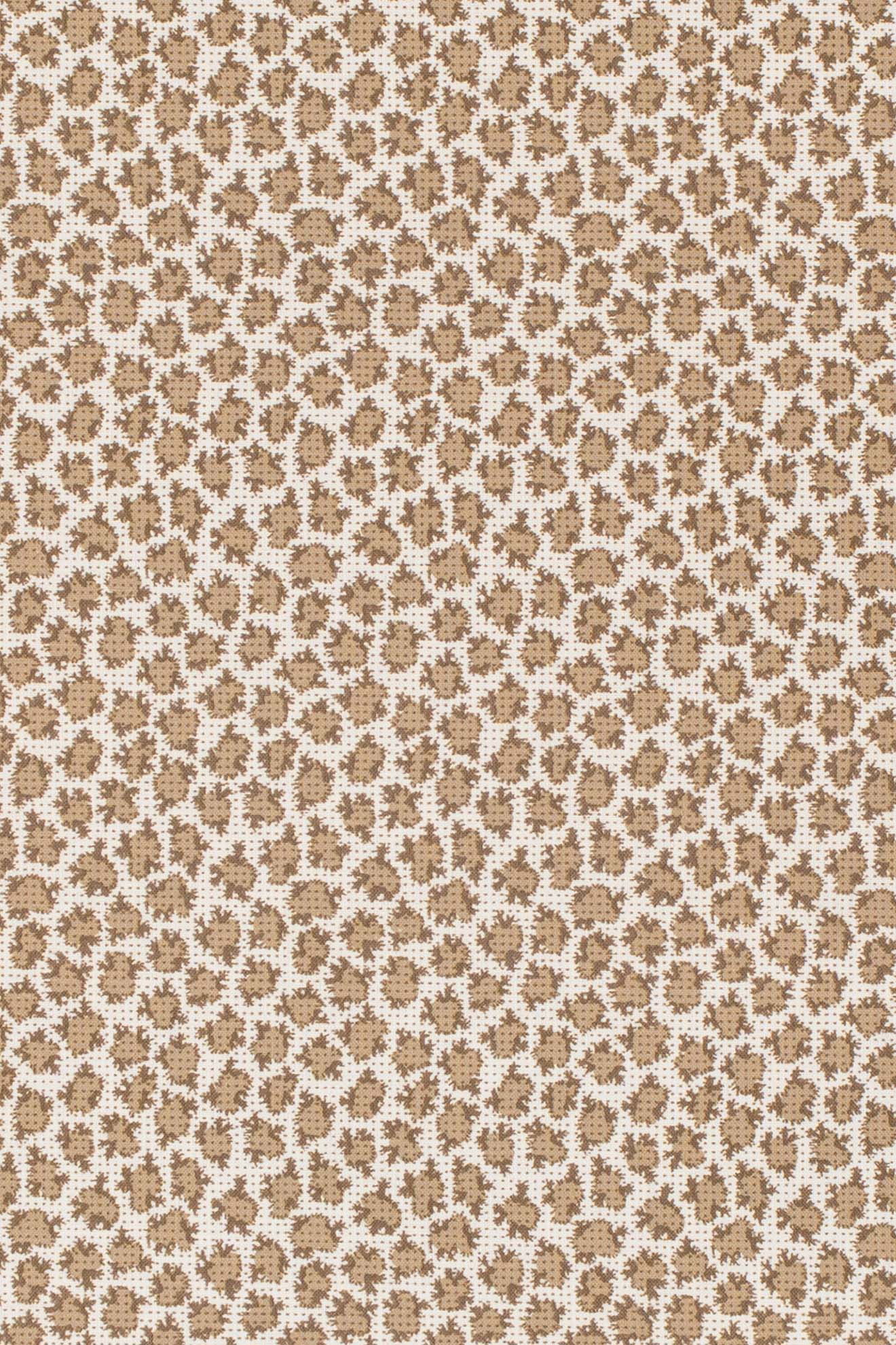 mocha_ETON