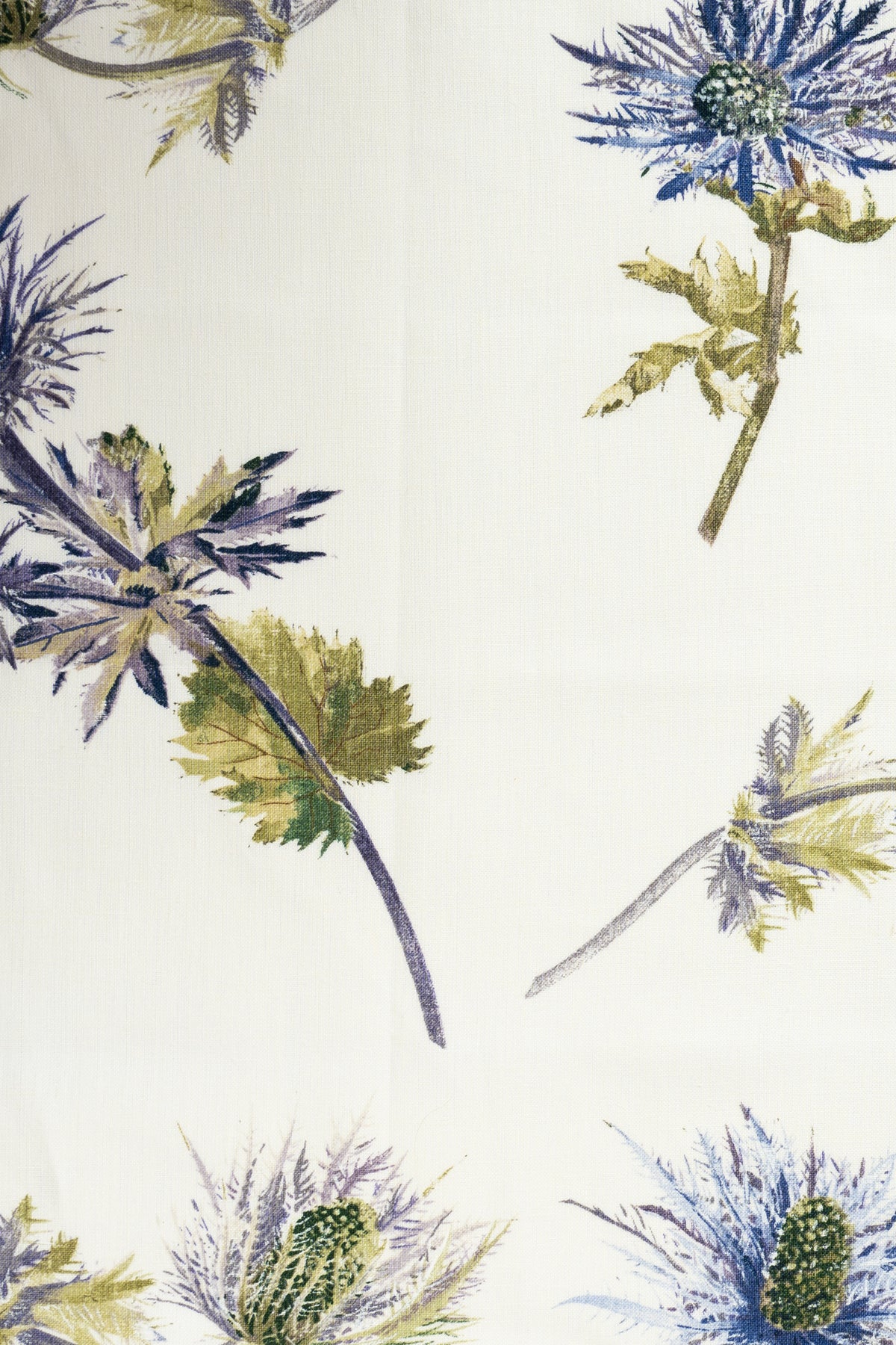 jm-1085 blue linen_SOPHIE'S THISTLES