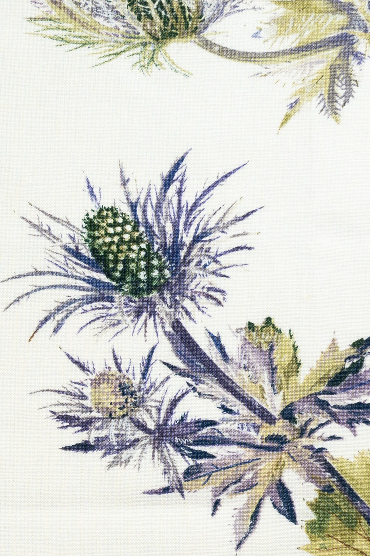 jm-1085 blue linen_SOPHIE'S THISTLES