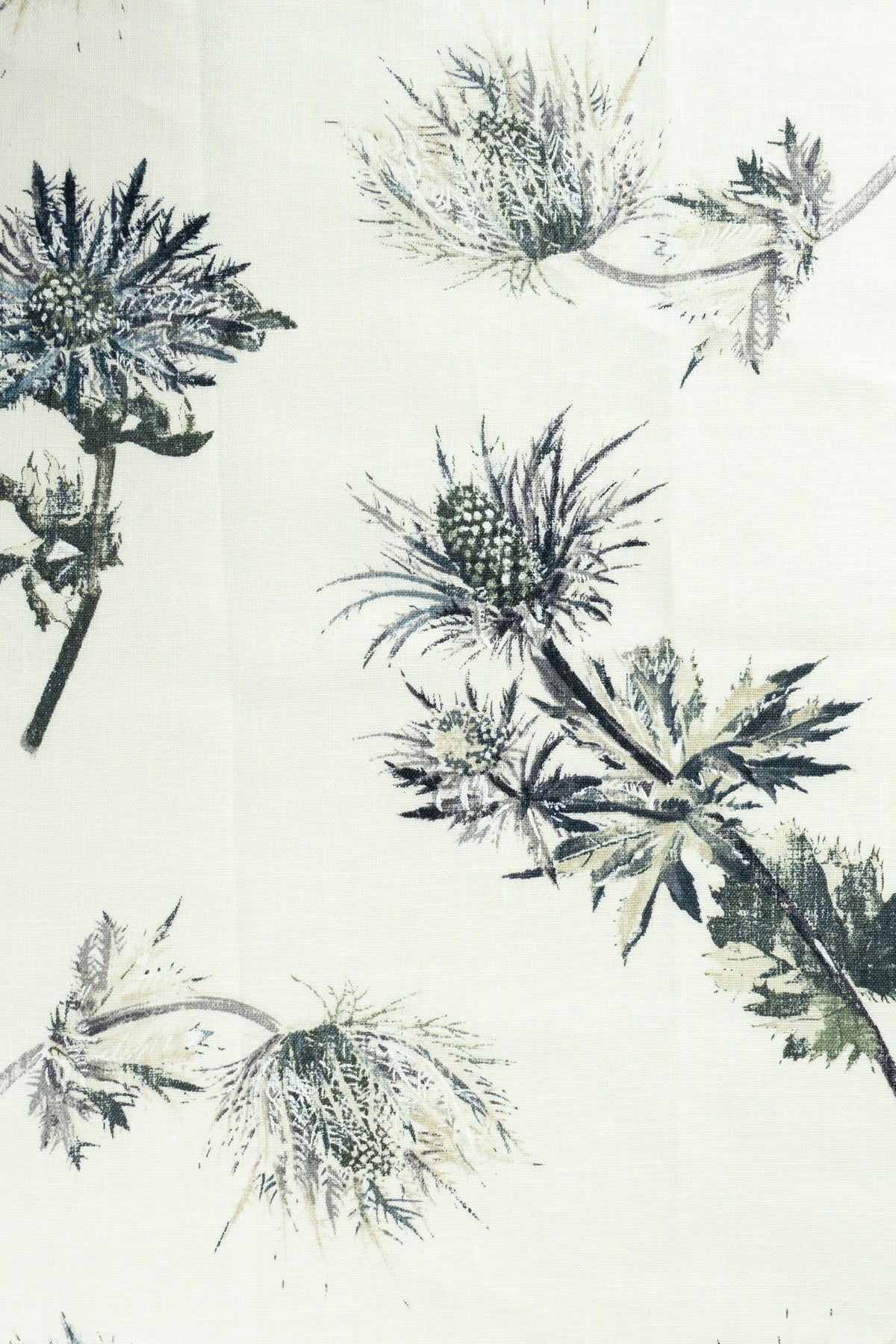 jm-1086 steel linen_SOPHIE'S THISTLES