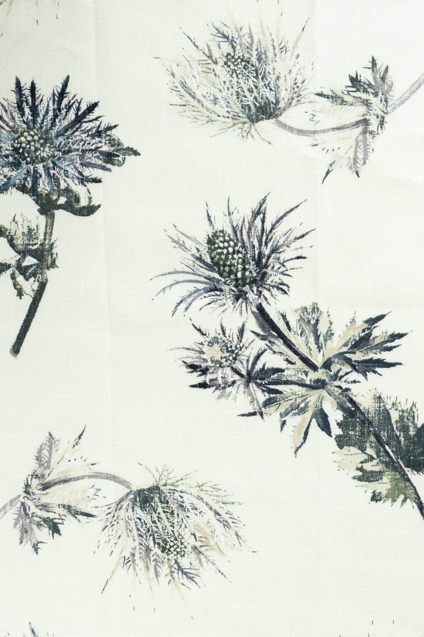 jm-1086 steel linen_SOPHIE'S THISTLES