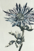 JM-1086 Steel Linen