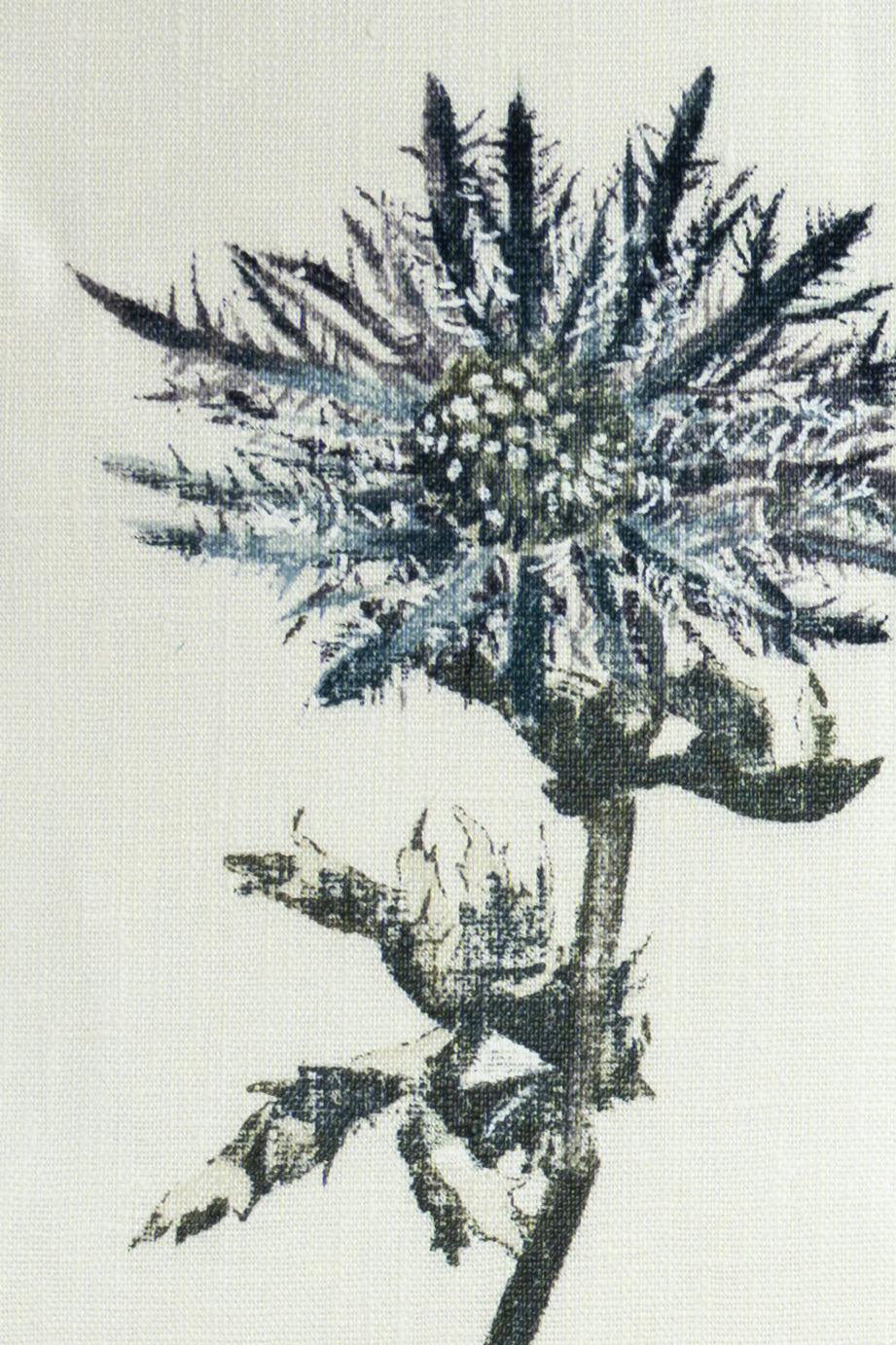 jm-1086 steel linen_SOPHIE'S THISTLES