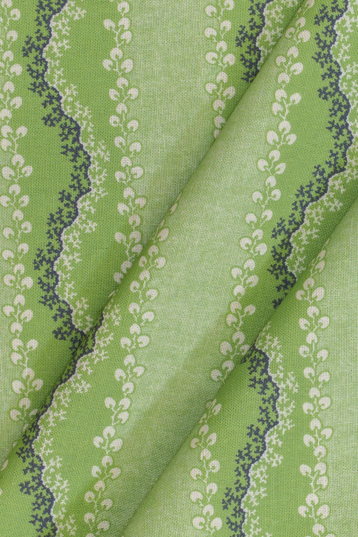 jm-1409 celery_AGATA