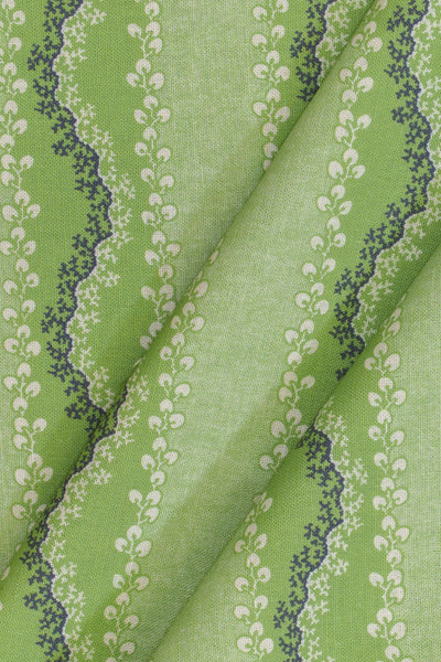 jm-1409 celery_AGATA