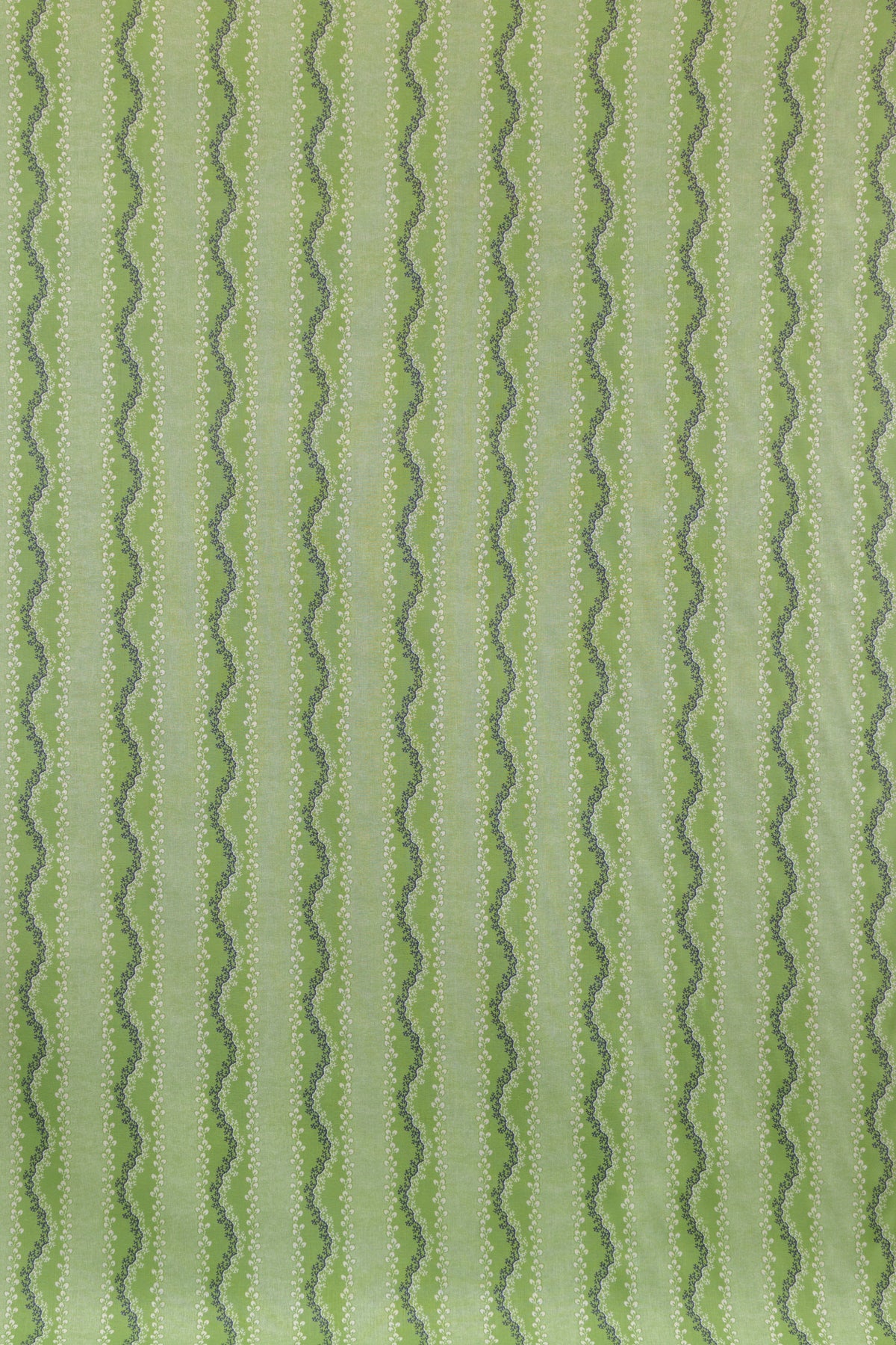 jm-1409 celery_AGATA