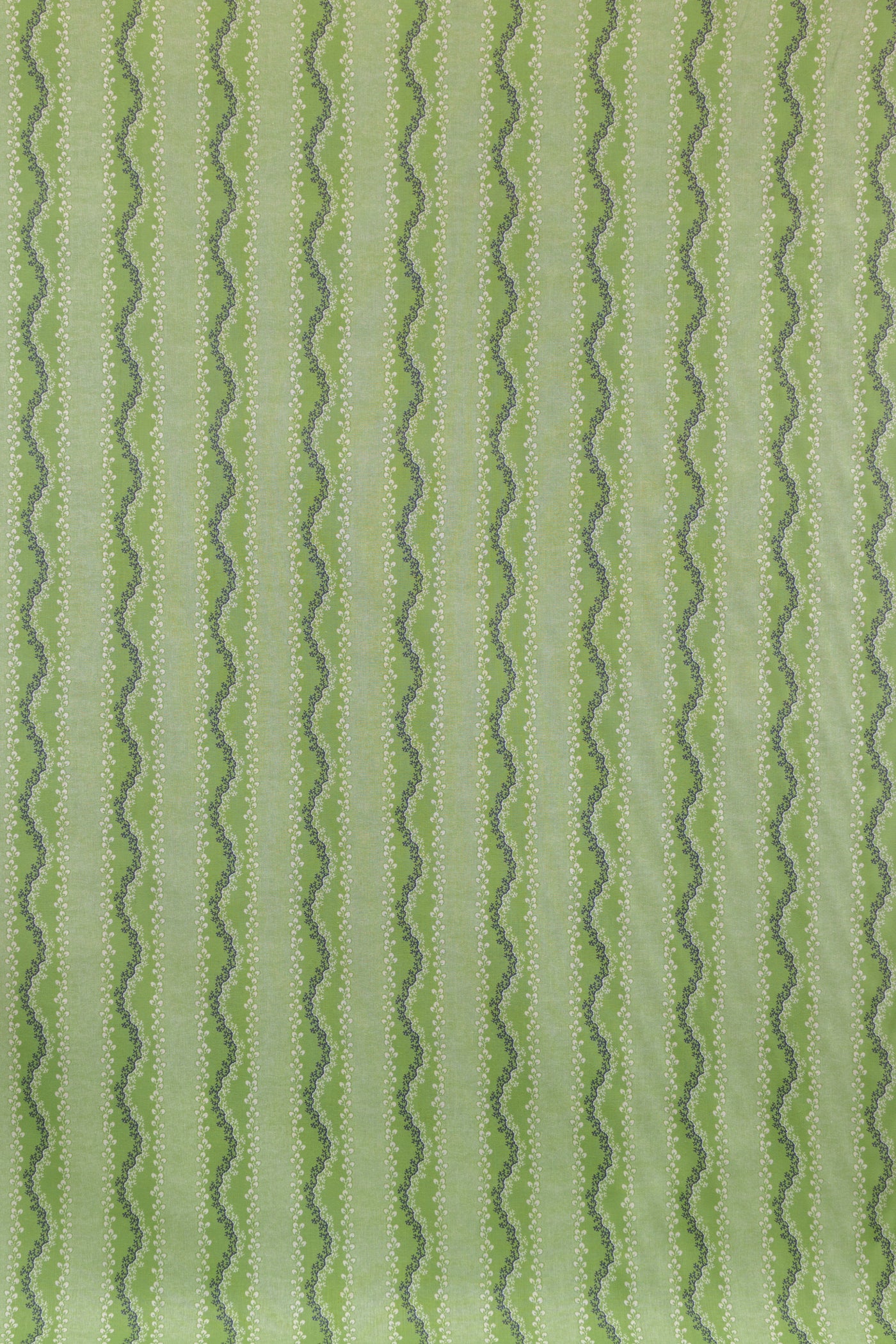 jm-1409 celery_AGATA