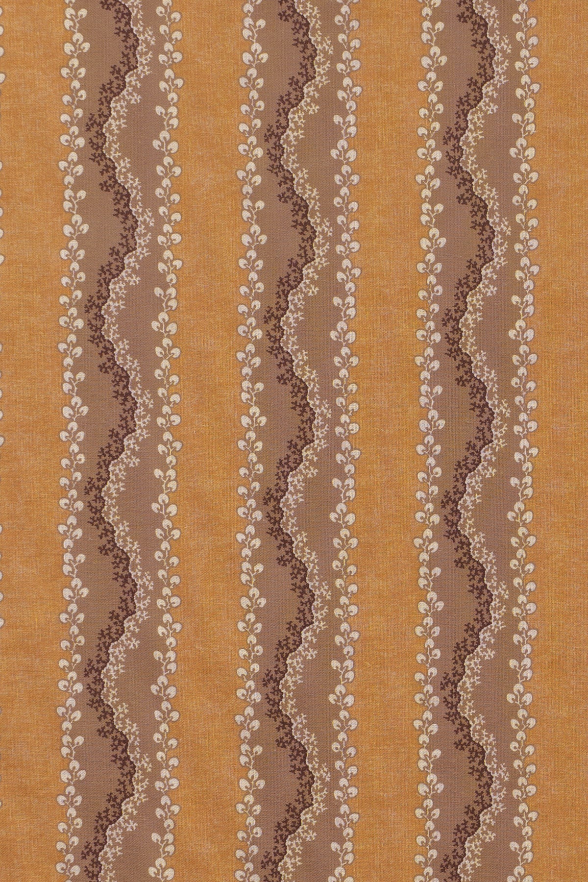jm-1408 toffee_AGATA