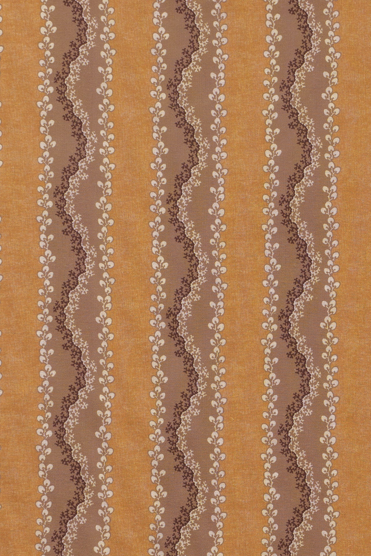 jm-1408 toffee_AGATA