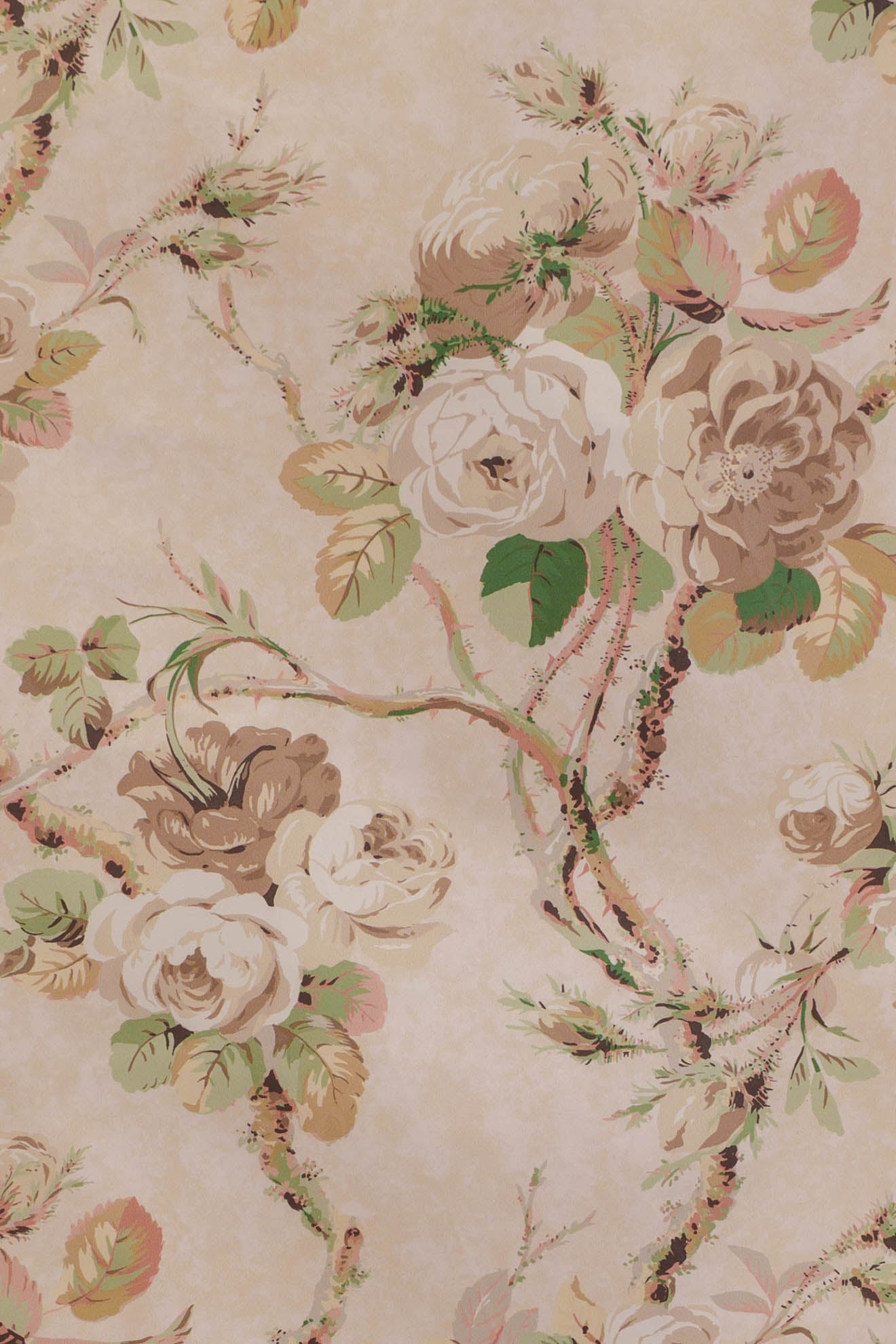jm-711 apricot/olive-green_AUTUMN ROSES