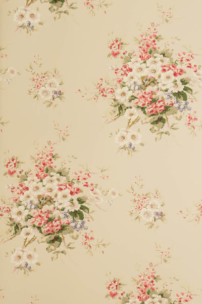 jmp-briar-01 cream_BRIAR ROSE wallpaper