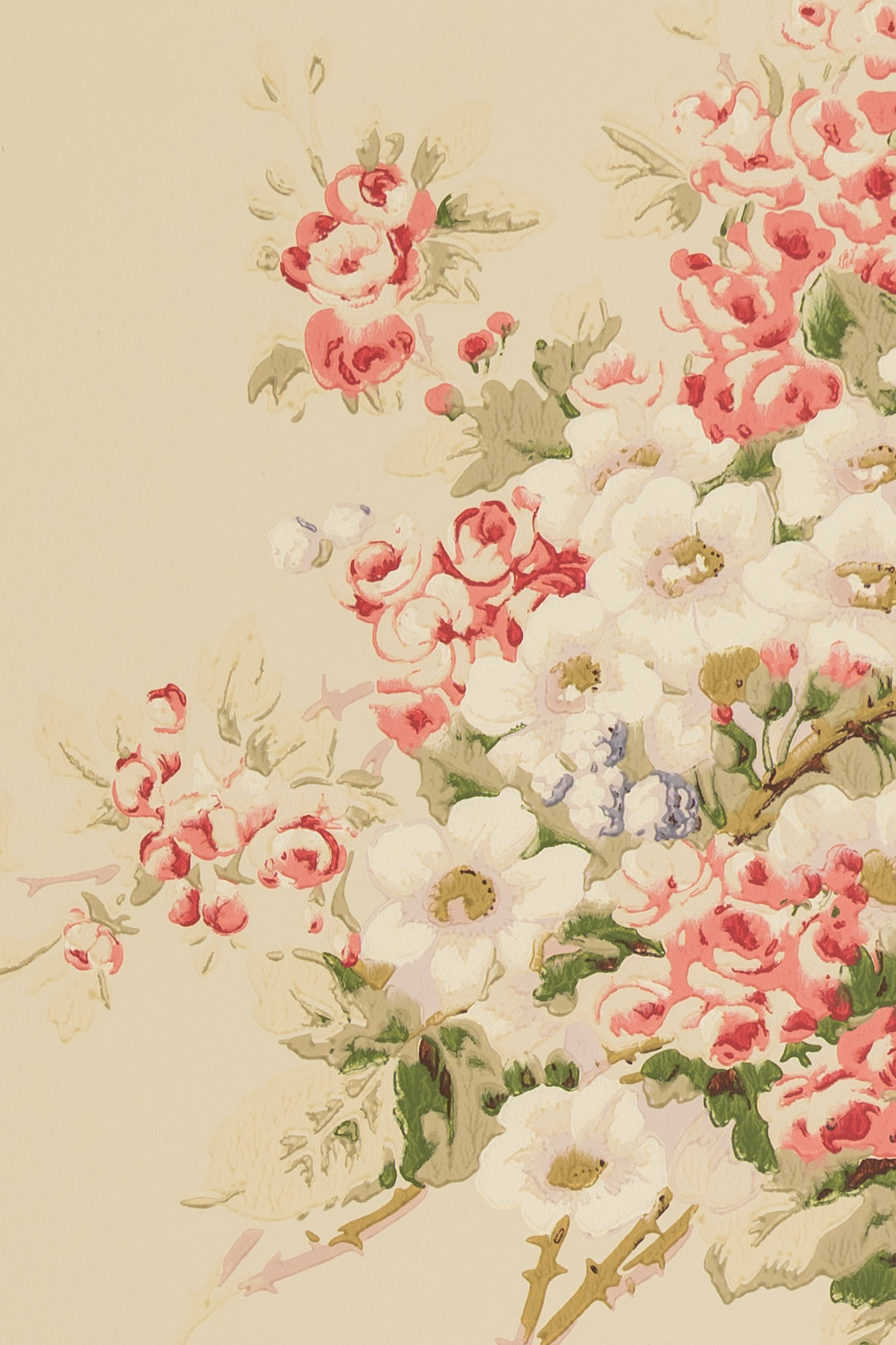 jmp-briar-01 cream_BRIAR ROSE wallpaper