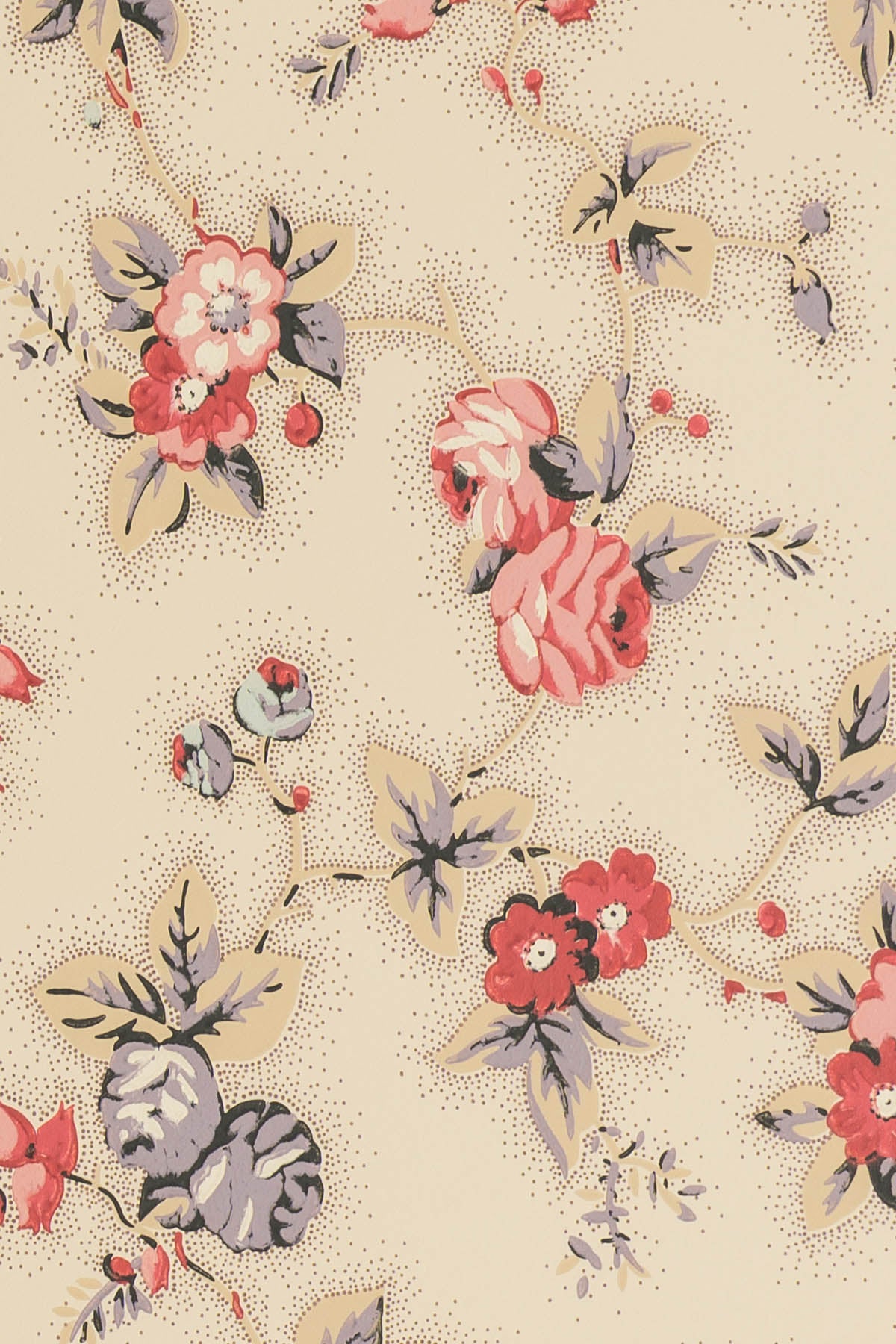 jmp-camb-01 document_CAMBRIDGE ROSE wallpaper
