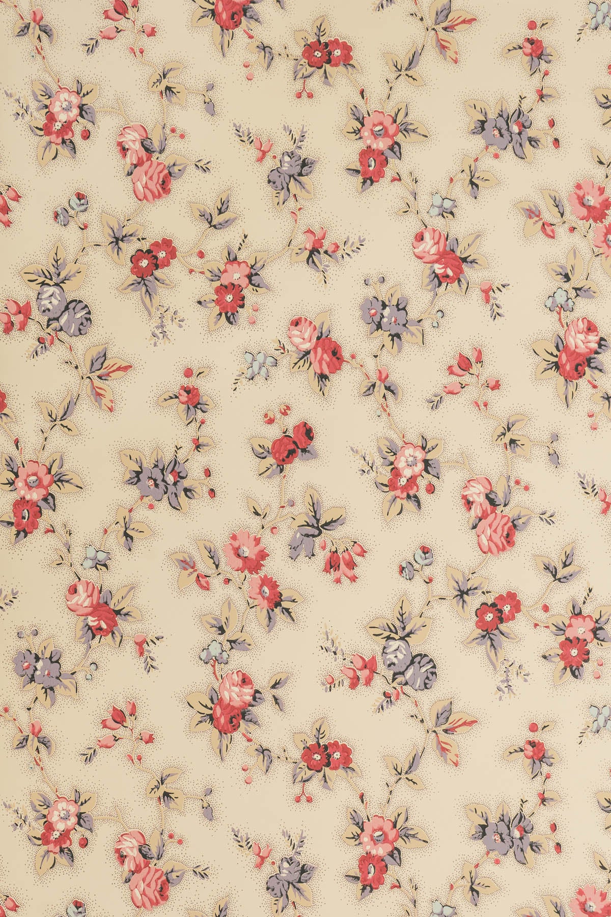 jmp-camb-01 document_CAMBRIDGE ROSE wallpaper