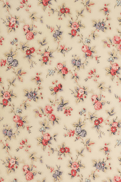 jmp-camb-01 document_CAMBRIDGE ROSE wallpaper