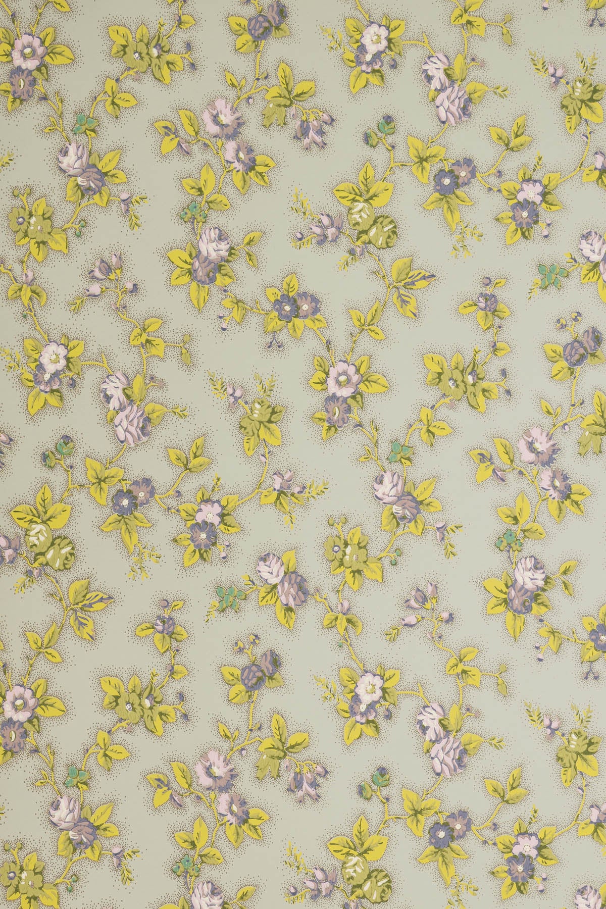 jmp-camb-02 amethyst & lime_CAMBRIDGE ROSE wallpaper