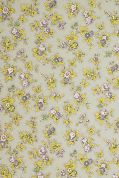 jmp-camb-02 amethyst & lime_CAMBRIDGE ROSE wallpaper