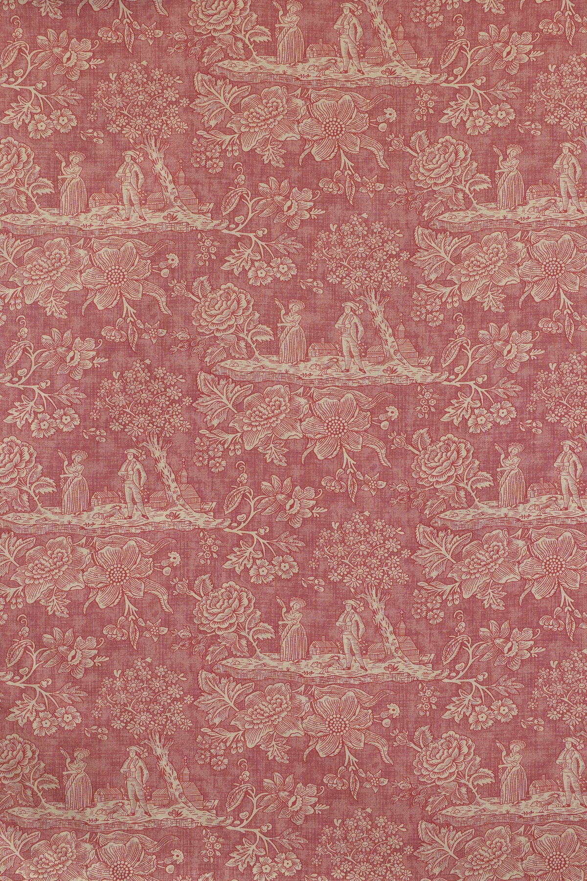 jm-1305 rose_CECELIA TOILE