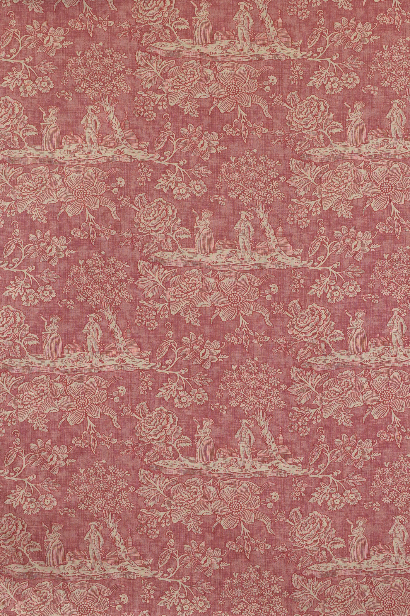 jm-1305 rose_CECELIA TOILE