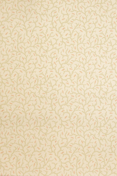 jmp-cle-01 blossom_CLEMENTINE wallpaper